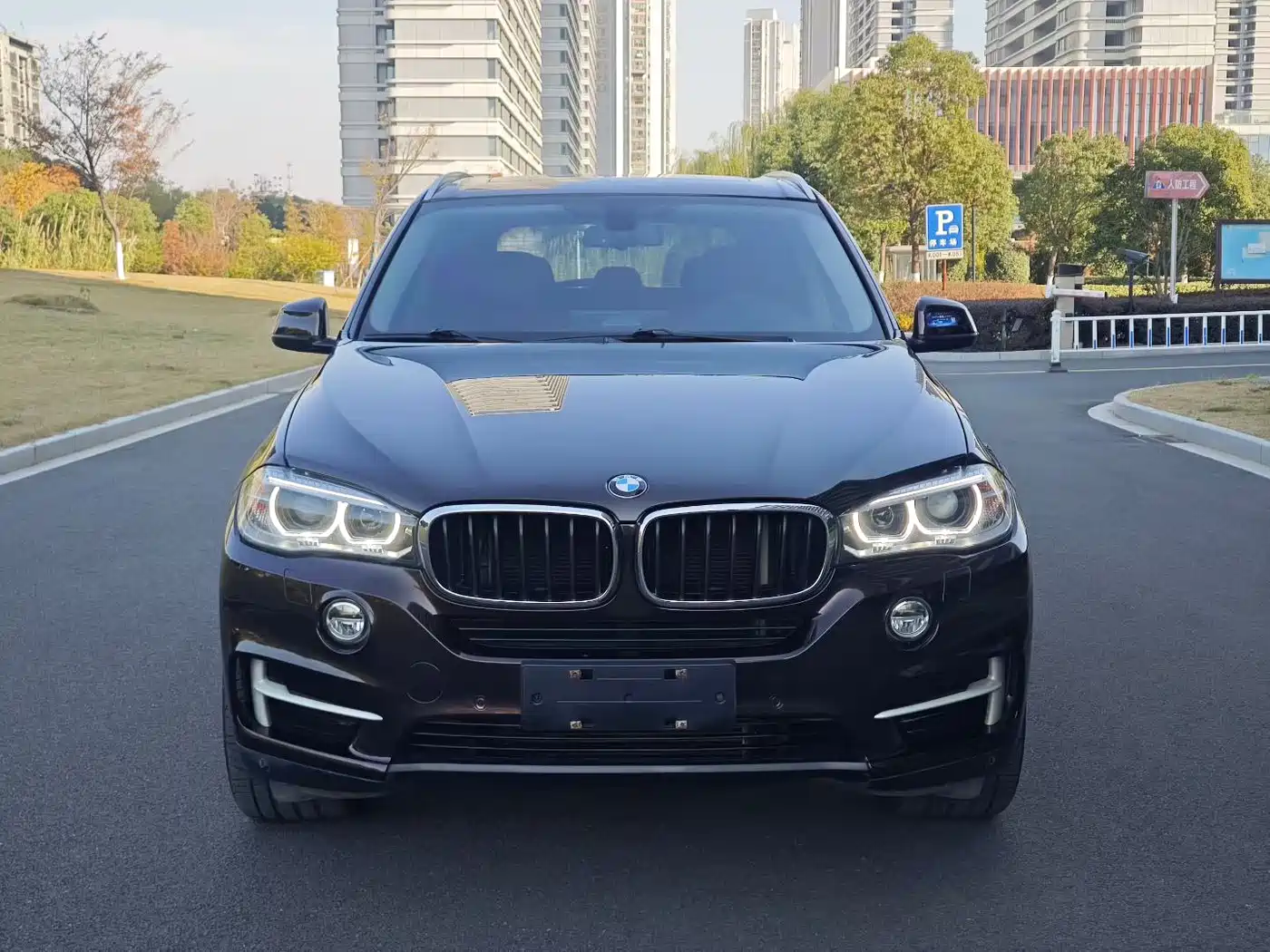 BMW X5 (Import) 2014 xDrive35i Leading фото 2