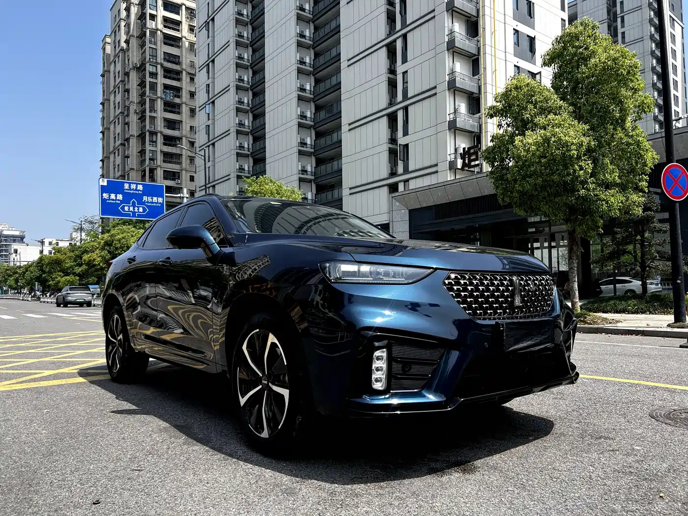 WEY Wei VV7 GT 2020 2020 2.0T Flagship