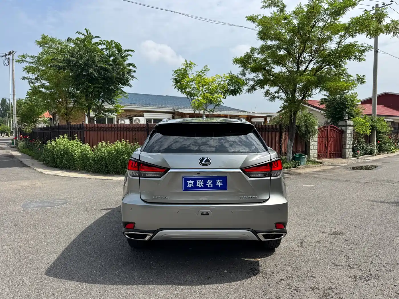 LEXUS RX