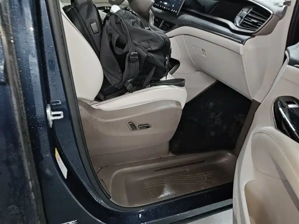 Denza D9 2022 DM-i 970 AWD Flagship фото 19