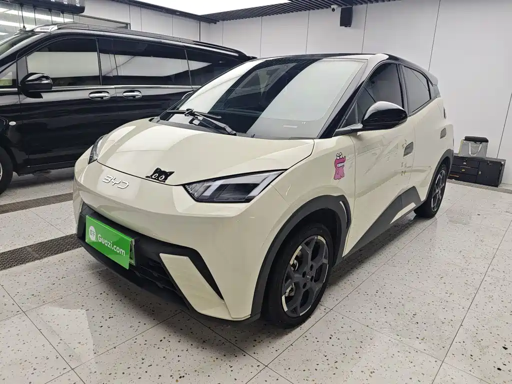 BYD Seagull 2025