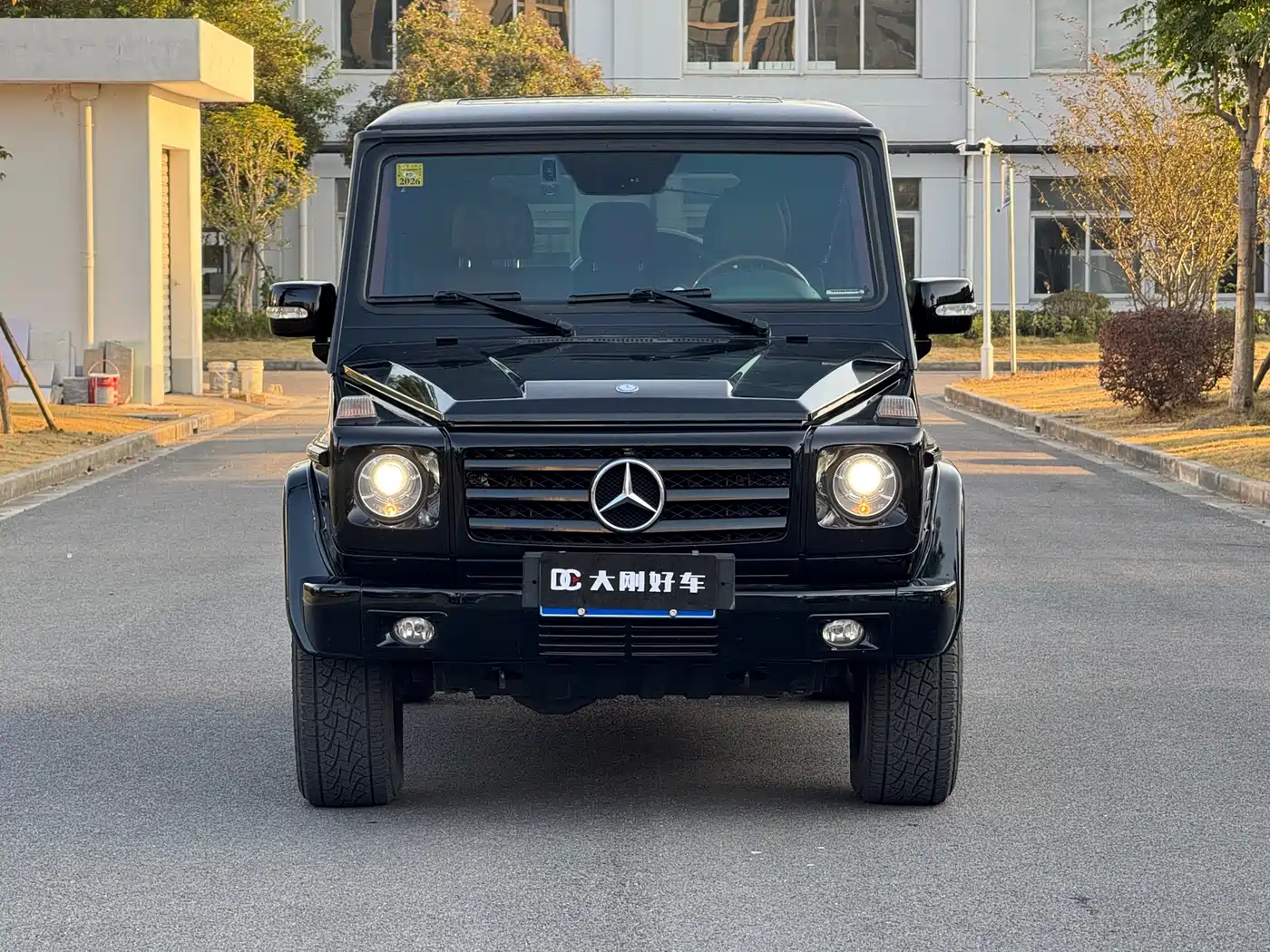 Mercedes-Benz G-Class 2010 G 500 фото 2