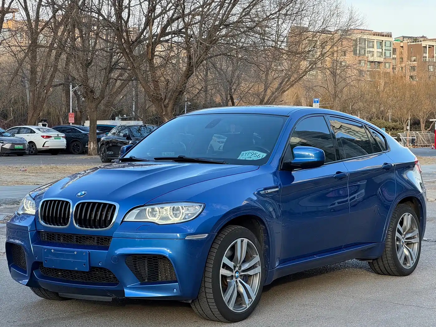 BMW X6 M 2013 X6 M
