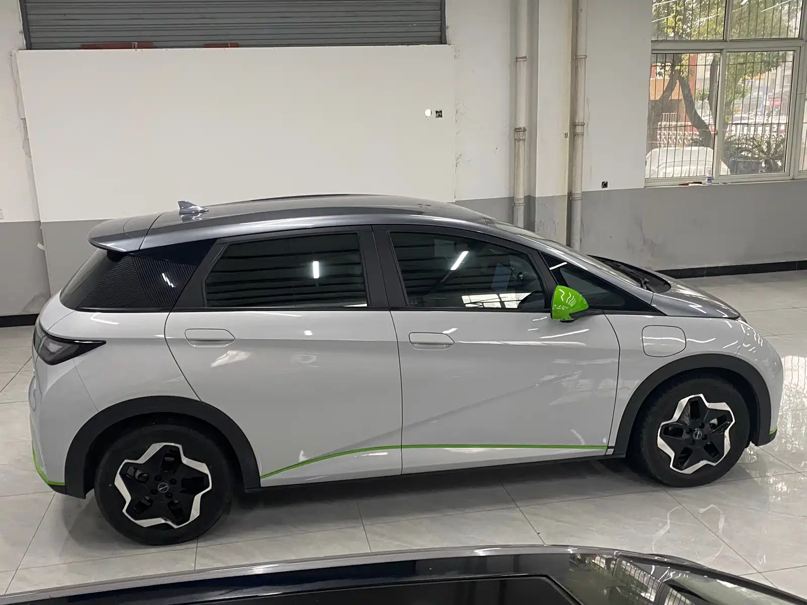 Фото 4 - BYD Dolphin