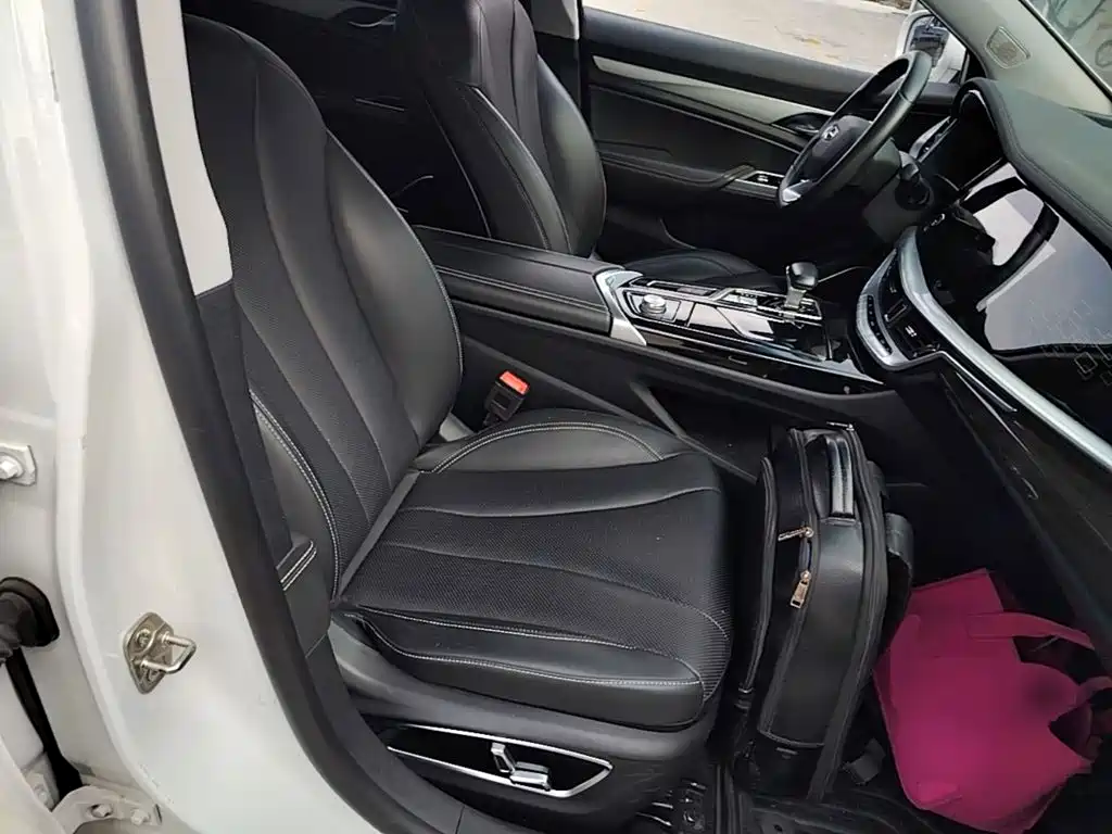 Geely Borui 2021 2021 1.8T Pilot Edition+