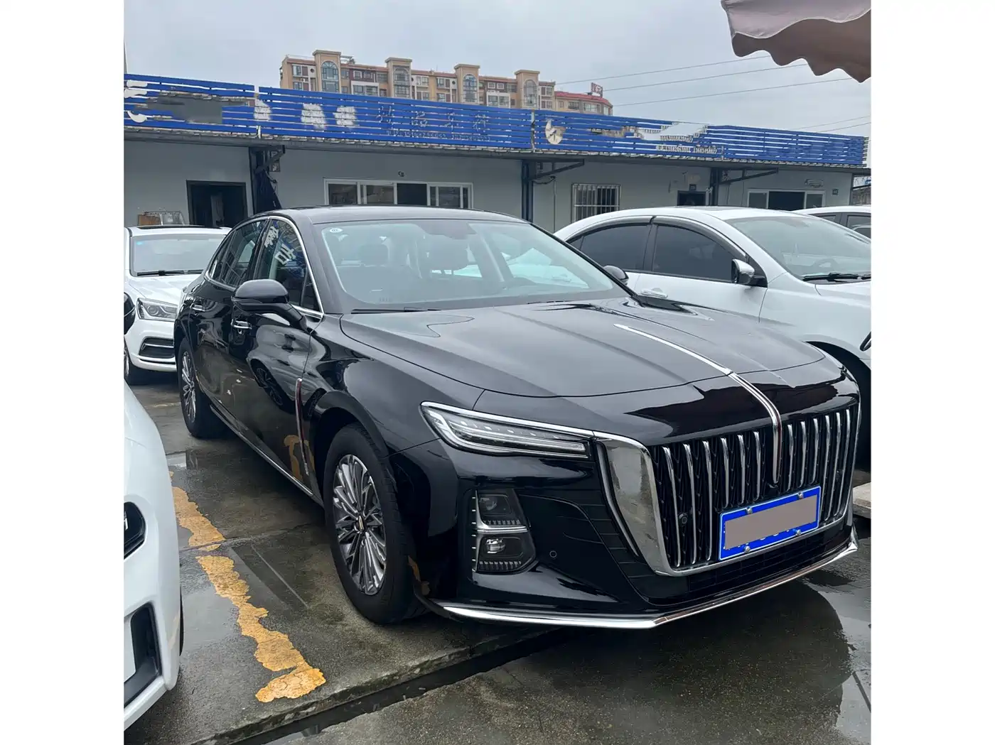 Hongqi H5 2023 1.5T DCT Smart Connect Flag Rhythm фото 3