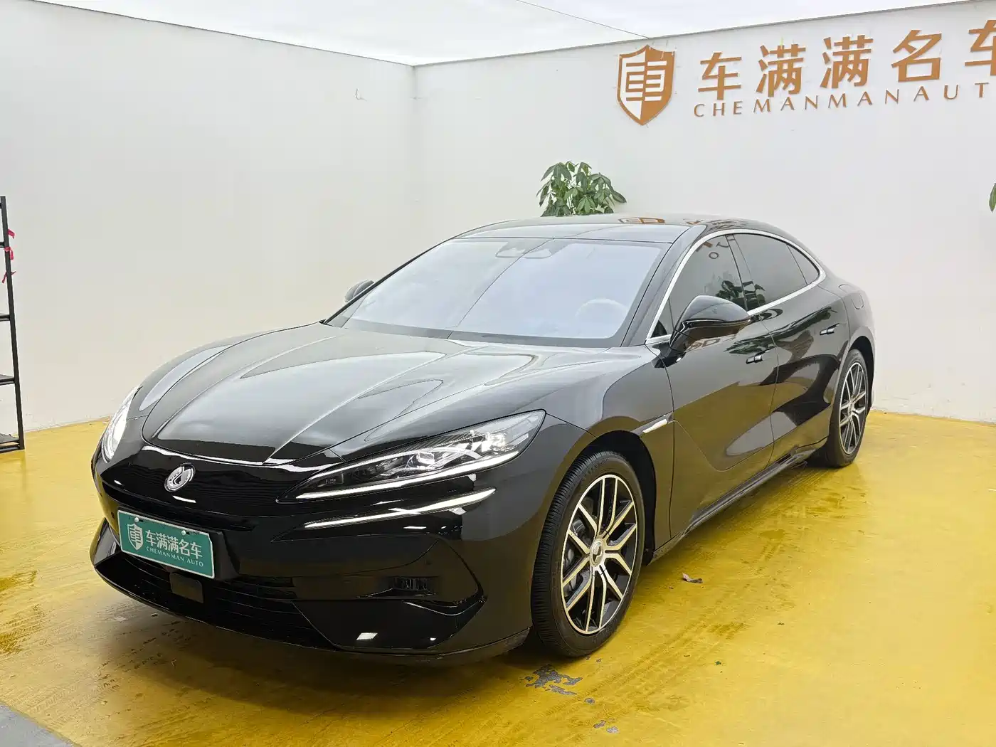 Denza Z9 2024 2024 Model 1100km AWD Max Edition