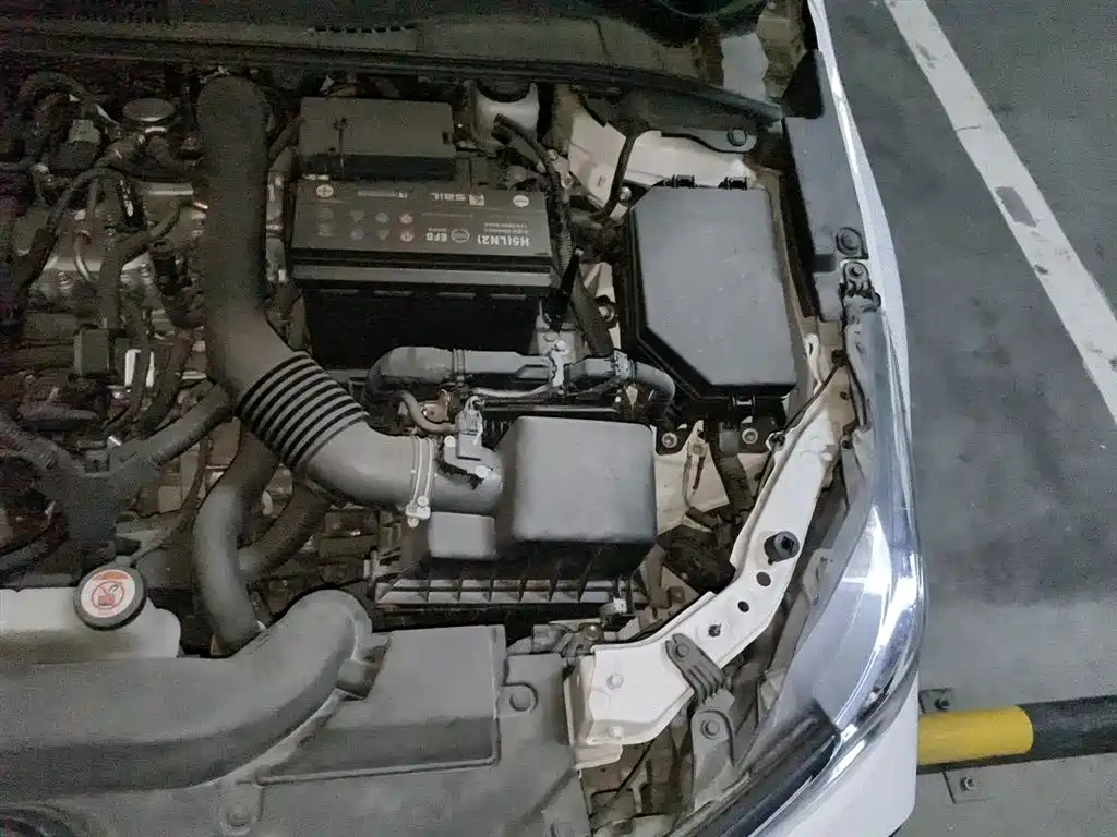 Toyota Corolla 2019 1.2T S-CVT GL-i Elite Edition фото 22