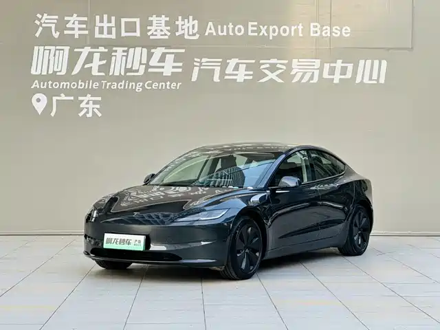 Tesla Model 3 Задний привод