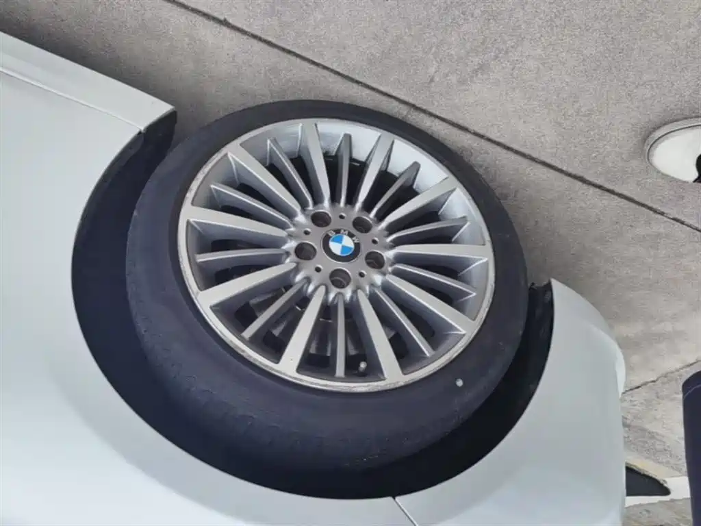 BMW 3 Series 2019 320Li Fashion Type фото 23