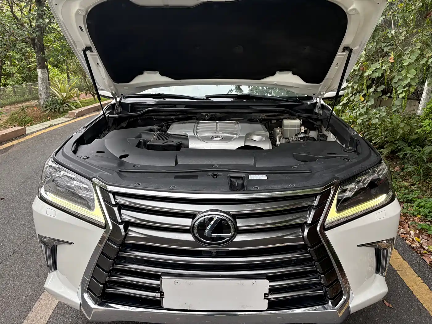 Lexus LX 2016 570 Luxury Premium Edition фото 24