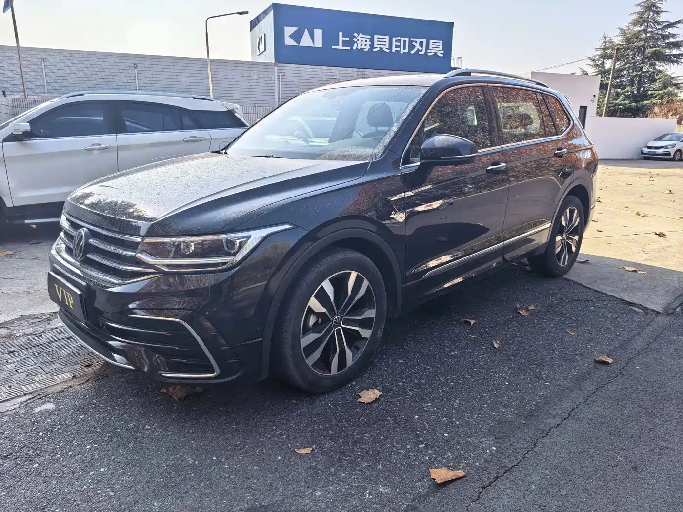 Volkswagen Tiguan L 2024 Outstanding 330TSI Auto 2WD Dragon Soaring Edition фото 3