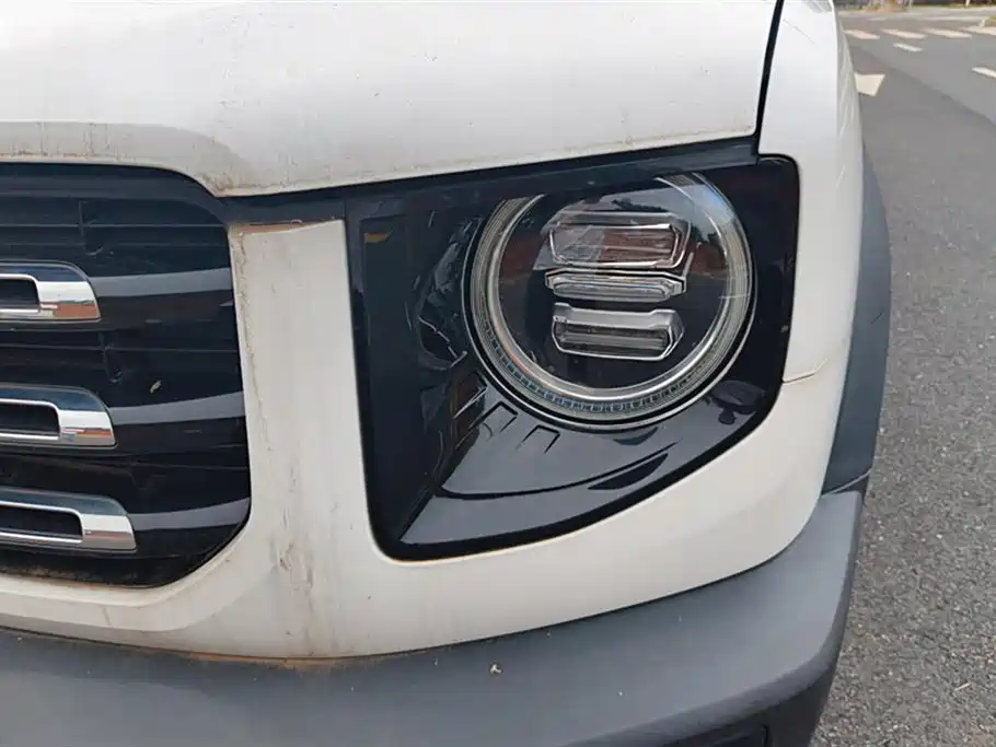Haval Big Dog 2021 1.5T DCT 2WD Labrador Edition фото 5