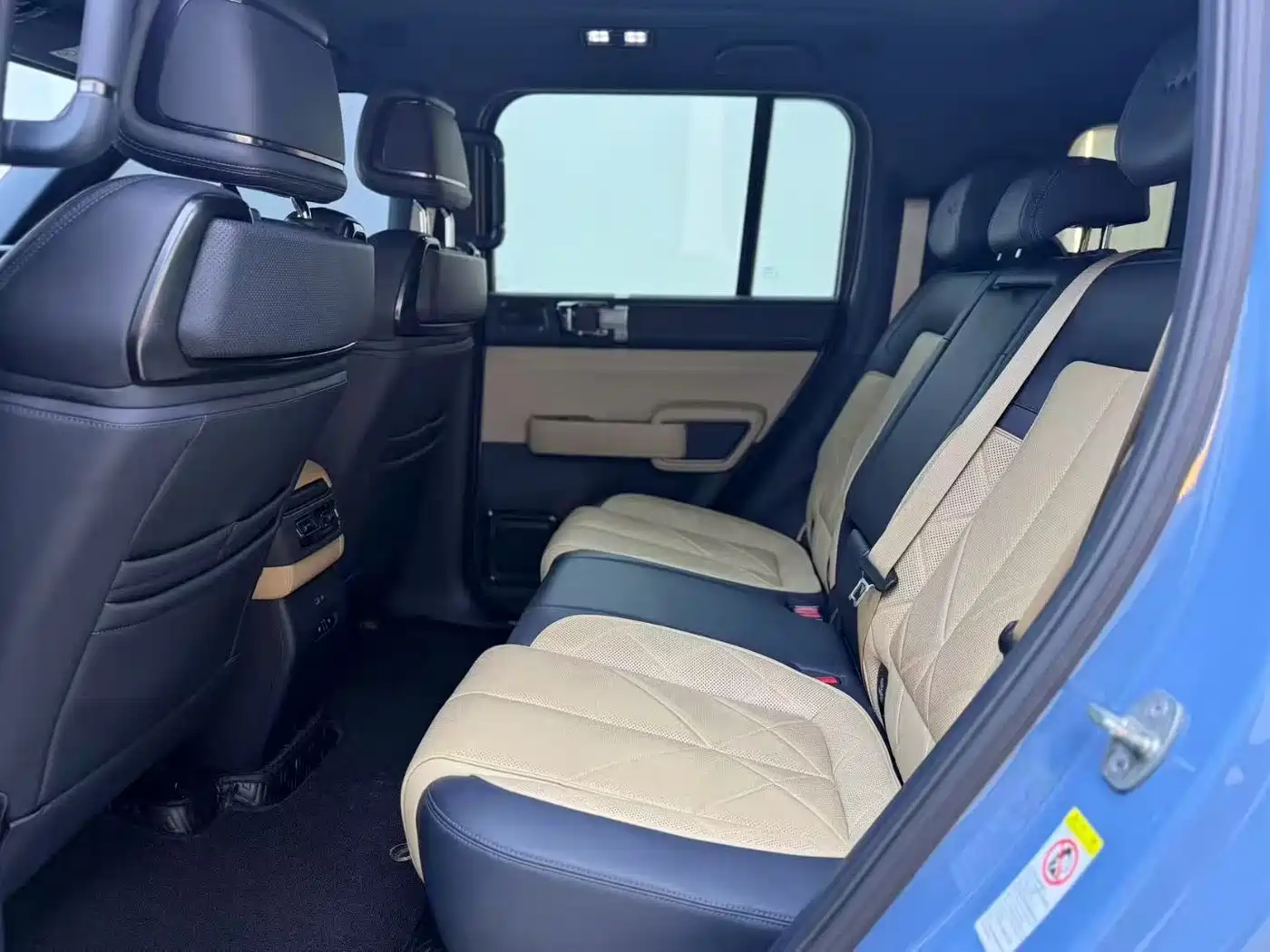 FANG CHENG BAO LEOPARD 5