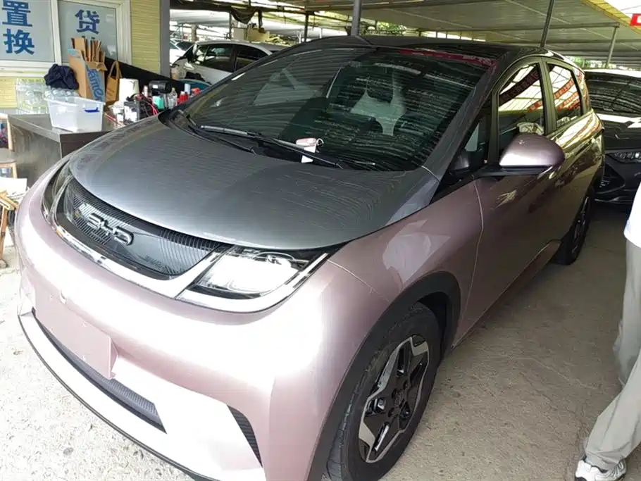 BYD Dolphin 2021 Model 405km Fashion Edition