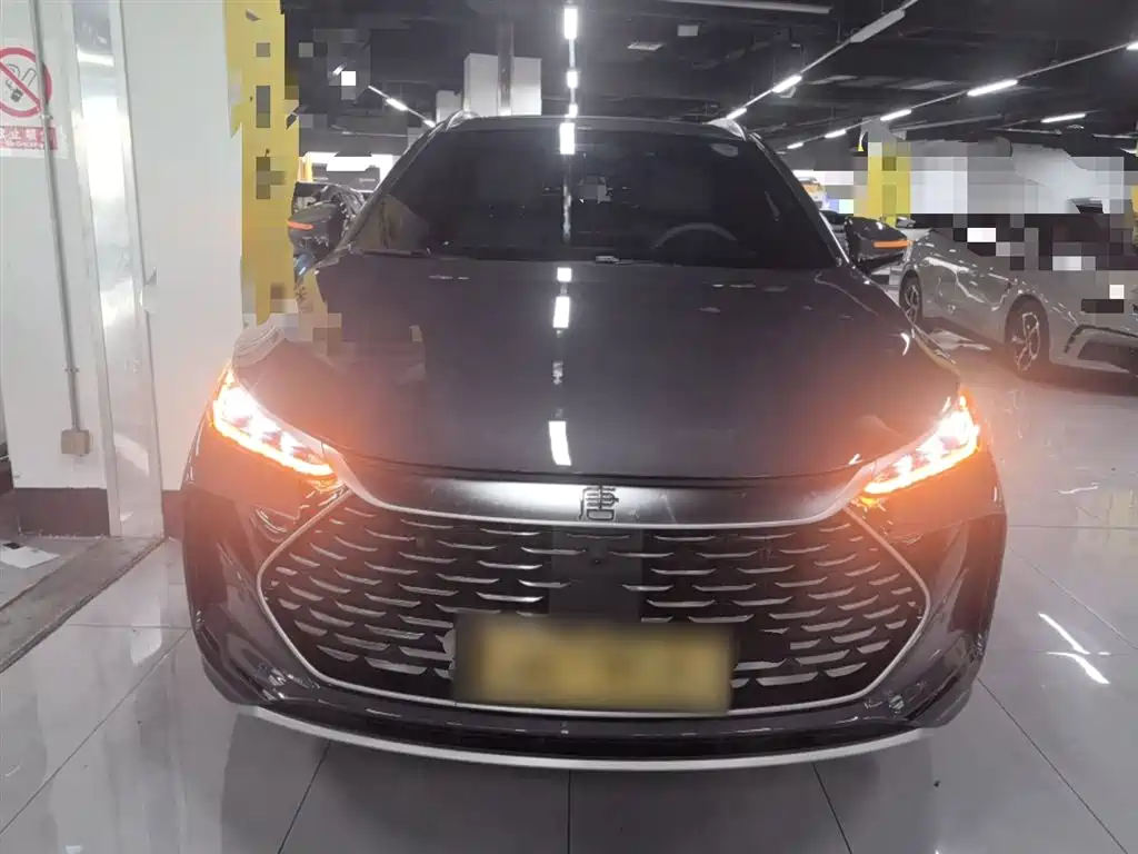 BYD Tang New Energy 2025 Smart Driving Edition DM-i 115KM Flagship фото 3