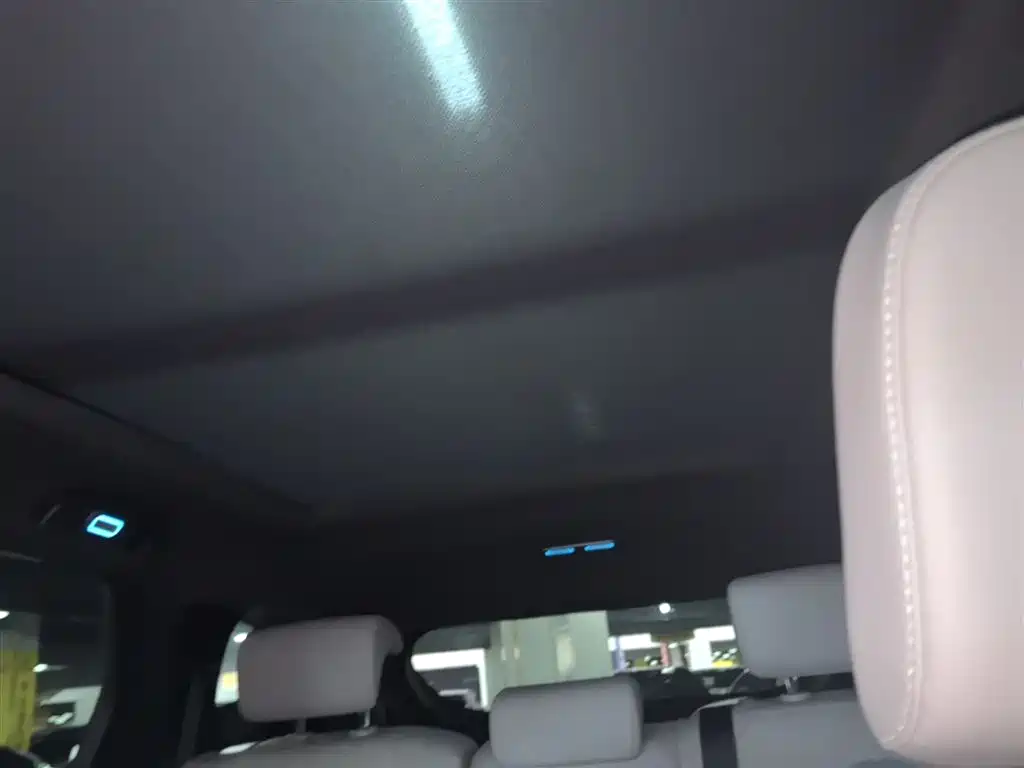 BYD Tang New Energy 2025 Smart Driving Edition DM-i 115KM Flagship фото 14
