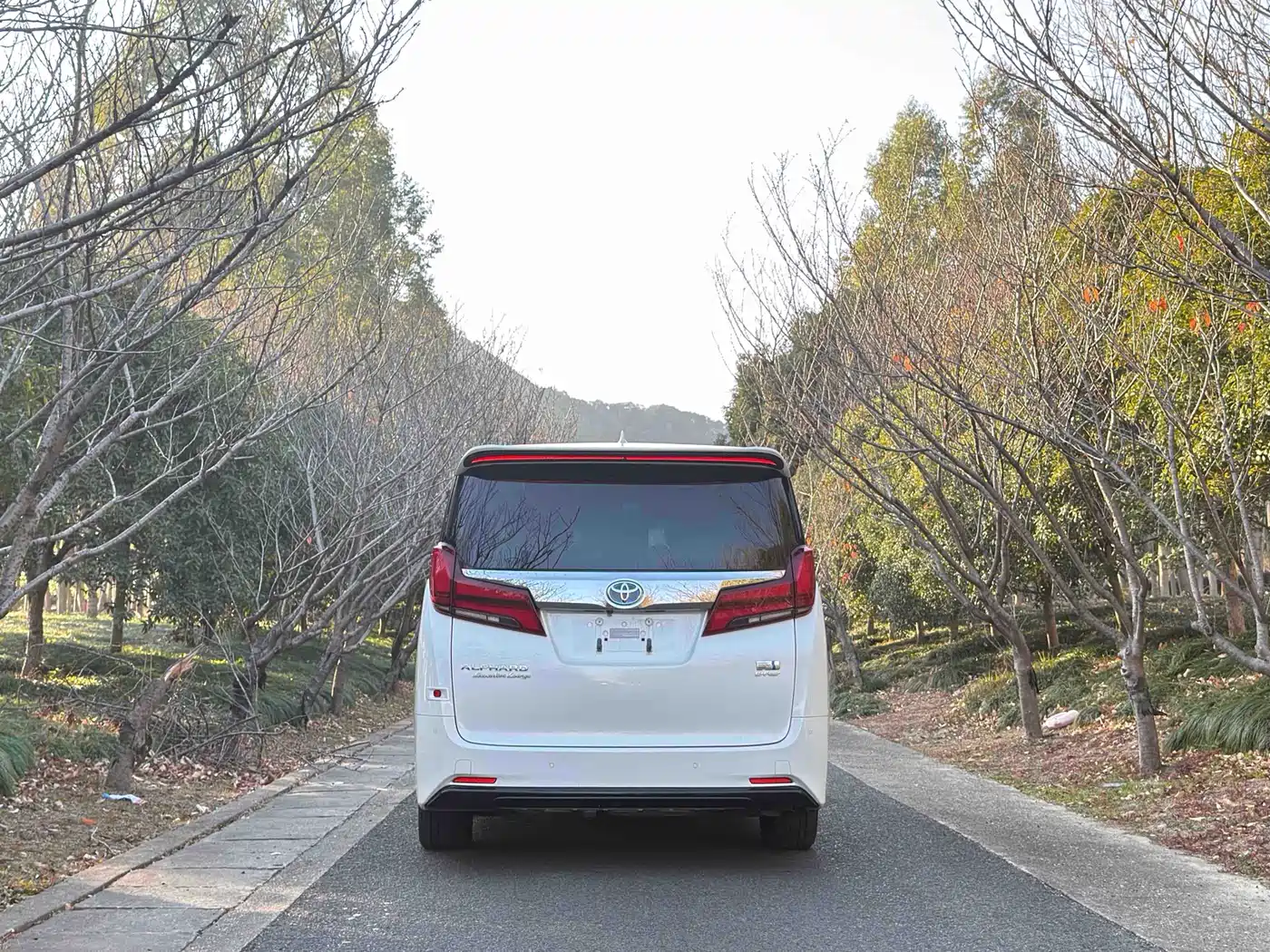 Toyota Alphard 2021 Hybrid 2.5L Premium фото 5