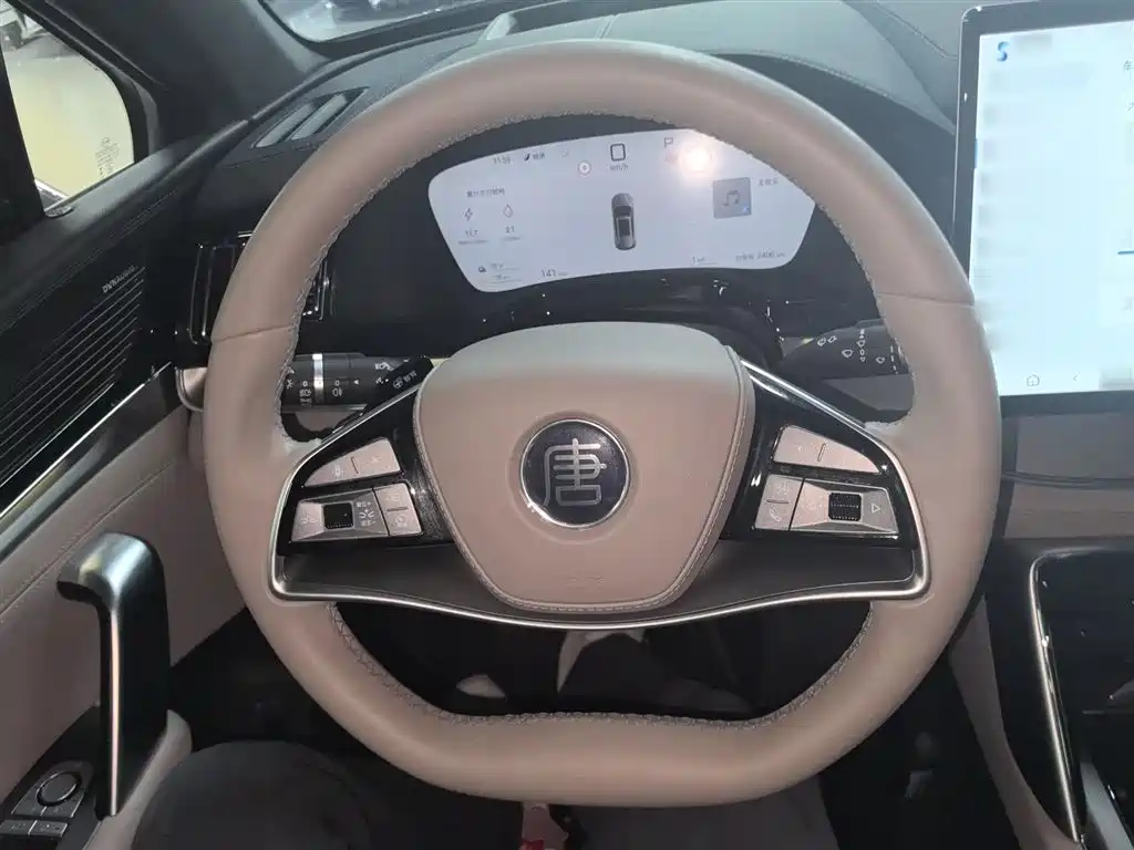 BYD Tang New Energy 2025 Smart Driving Edition DM-i 115KM Flagship фото 7