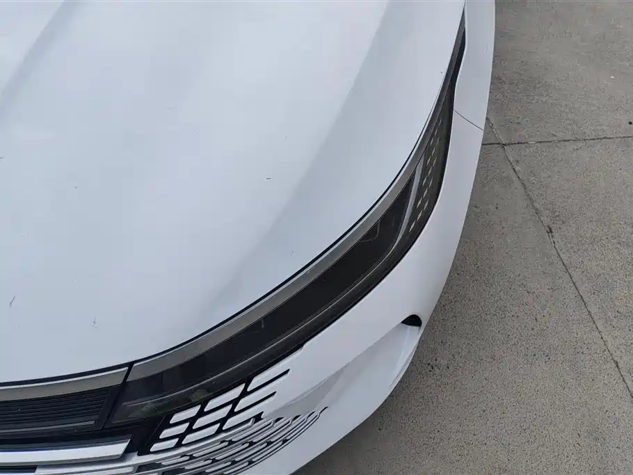 BYD Destroyer 05 2024 Glory Edition DM-i 55KM Luxury фото 5