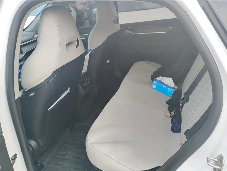 BYD Destroyer 05 2024 Glory Edition DM-i 55KM Luxury фото 11