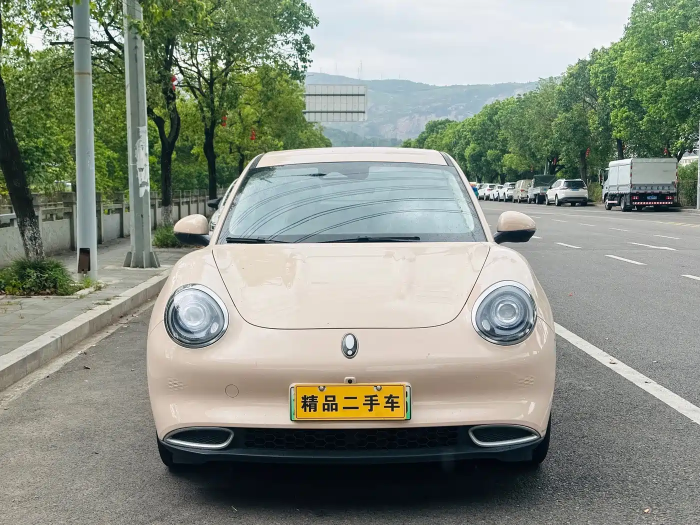 Ora Good Cat 2024 2024 401km Luxury