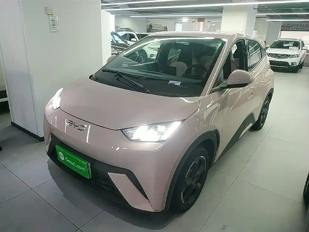 BYD Seagull 2024 Glory Edition 305km Freedom Edition фото 2