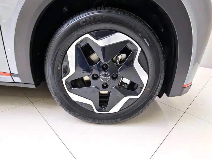 BYD Dolphin 2021 Model 405km Fashion Edition фото 4