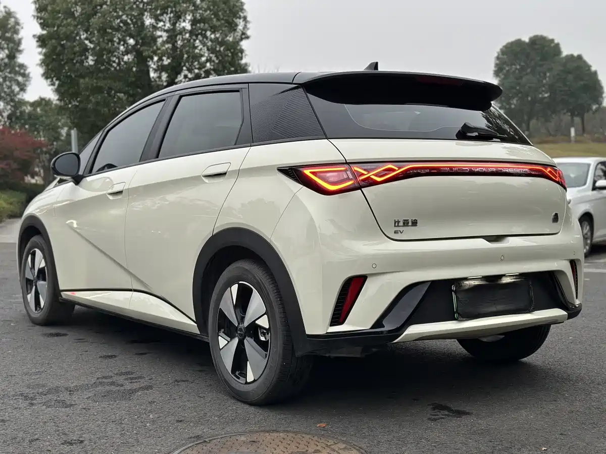 BYD Dolphin 2023 420km Fashion Edition фото 7