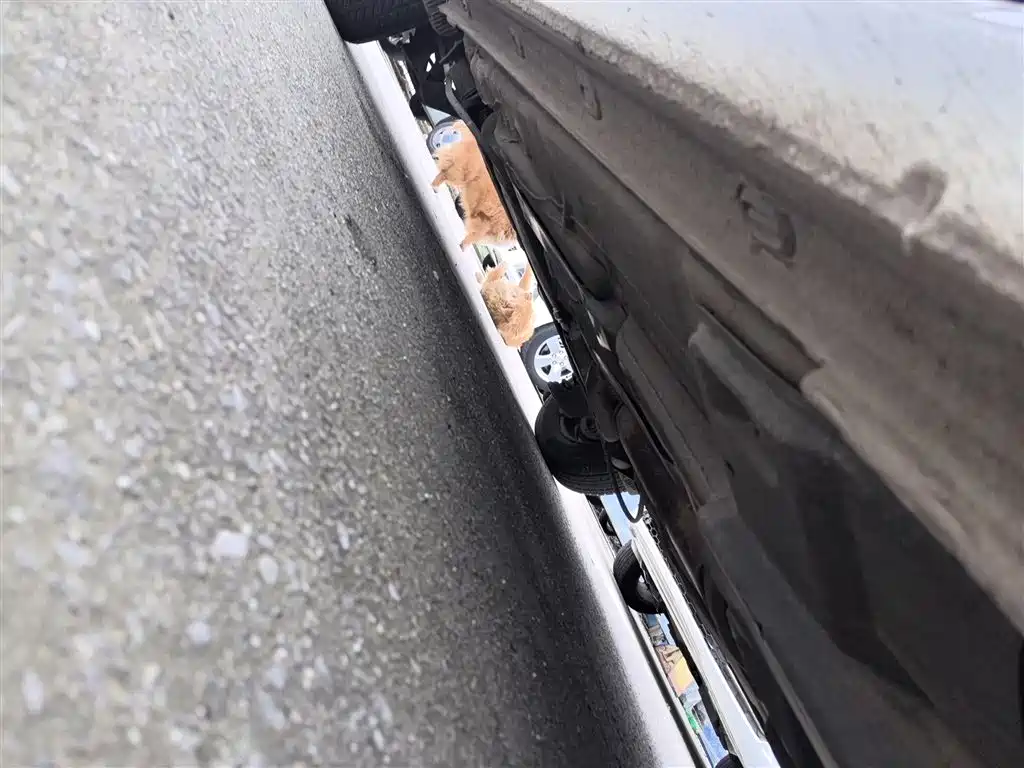 Volkswagen Santana 2018 1.5L Manual Trend Edition фото 21