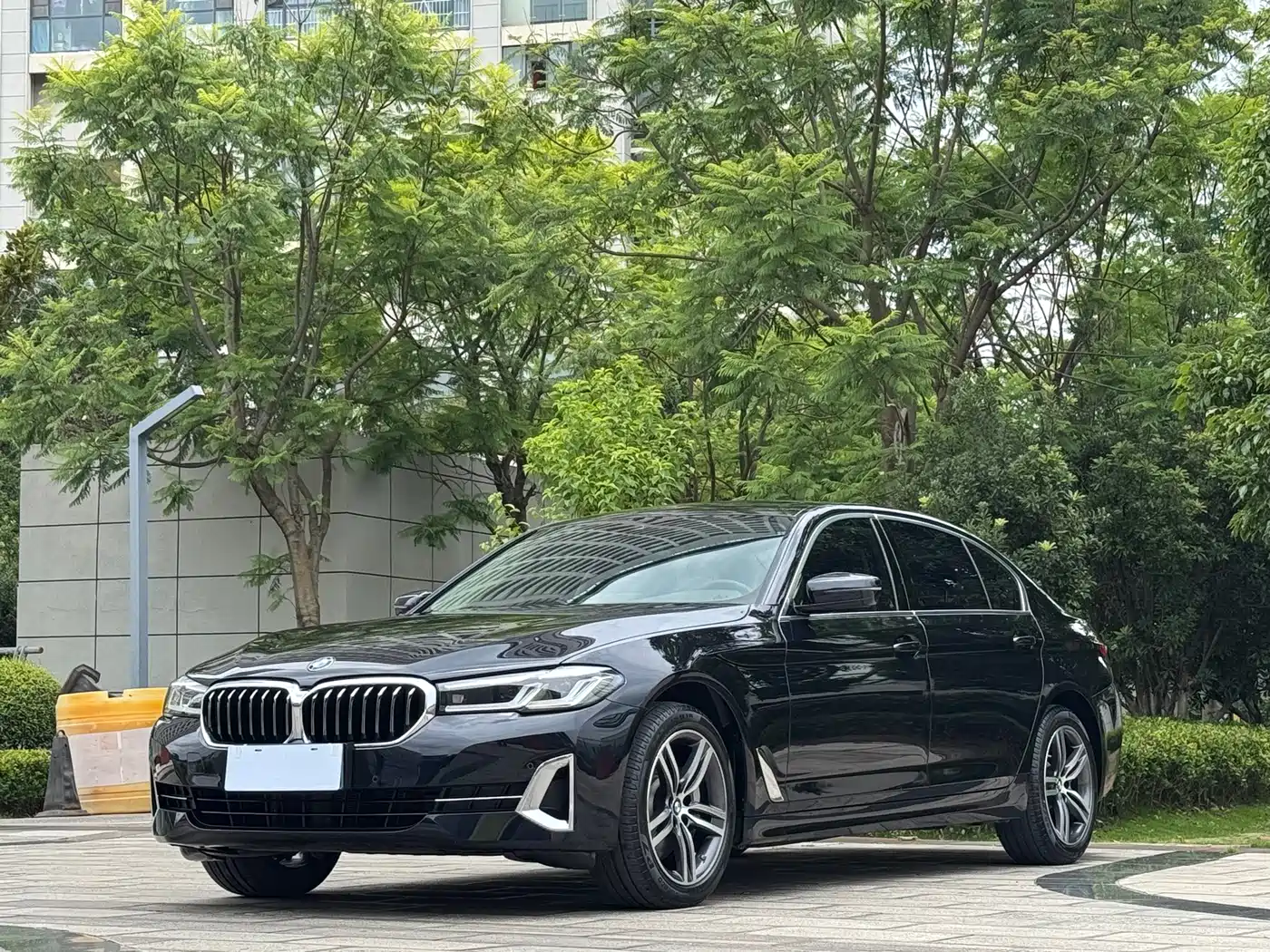 BMW BMW 5 Series 2023 530Li Leading Luxury Package