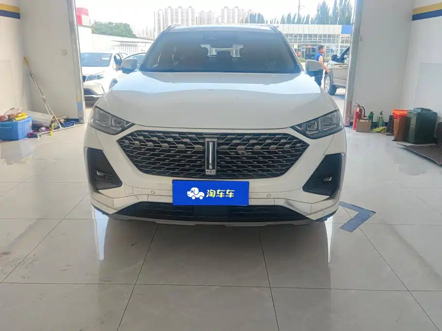 WEY Latte DHT 2022 2022 1.5T DHT Large