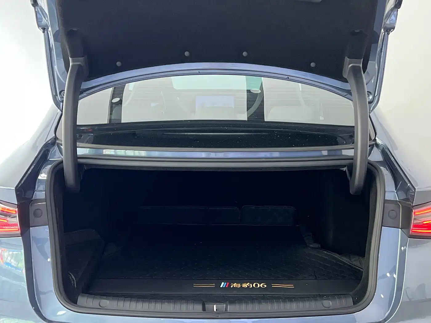 BYD Seal 06 New Energy 2024 DM-i 120KM Premium фото 8