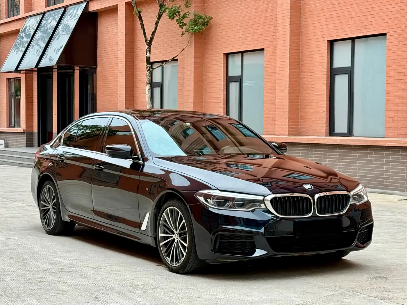 BMW 5 Series 2020 530Li Exclusive M Sport Package фото 3