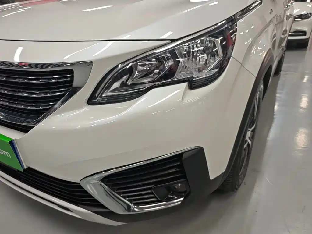 Фото 24 - Peugeot 5008