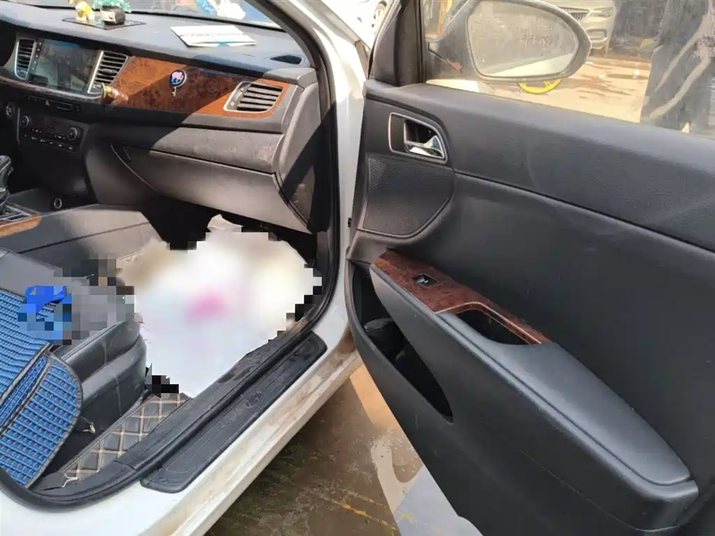 Hyundai Mistra 2014 1.8L Auto Premium DLX фото 19