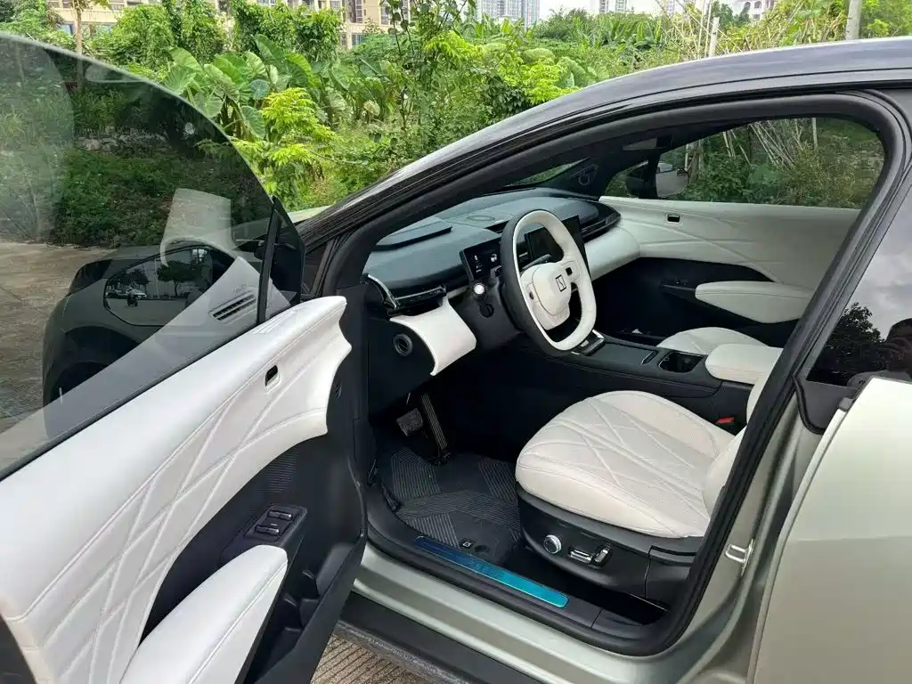 ZEEKR X 2026 2026 Model Five-Seater Rear-Wheel Drive Version