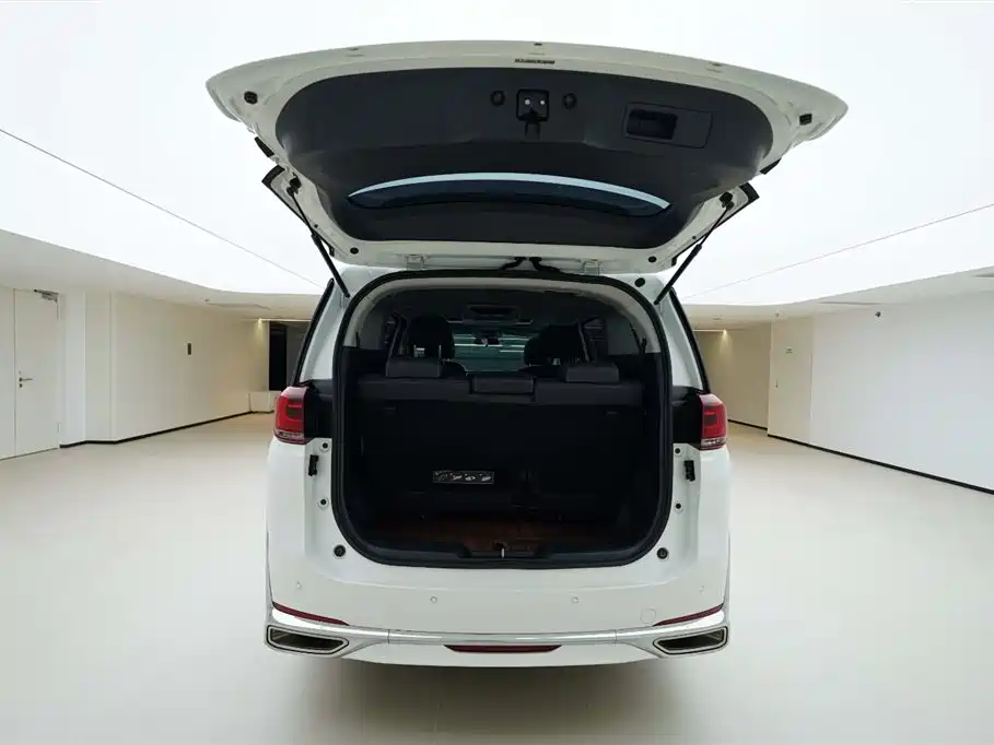 GAC Trumpchi Trumpchi M8 2021 Leading Show Series 390T Luxury Edition фото 6