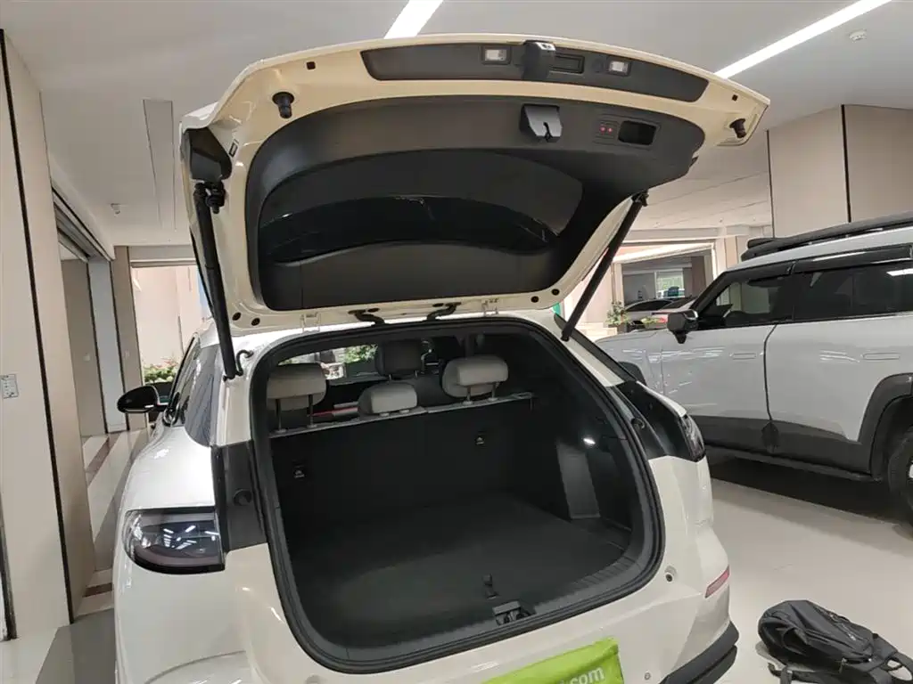 BYD Sealion 06 New Energy 2025 DM-i 170 Pilot Pro Edition фото 19