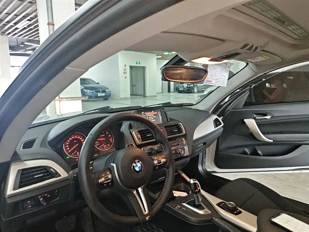BMW 2 Series (Import) 2017 220i Leading фото 10