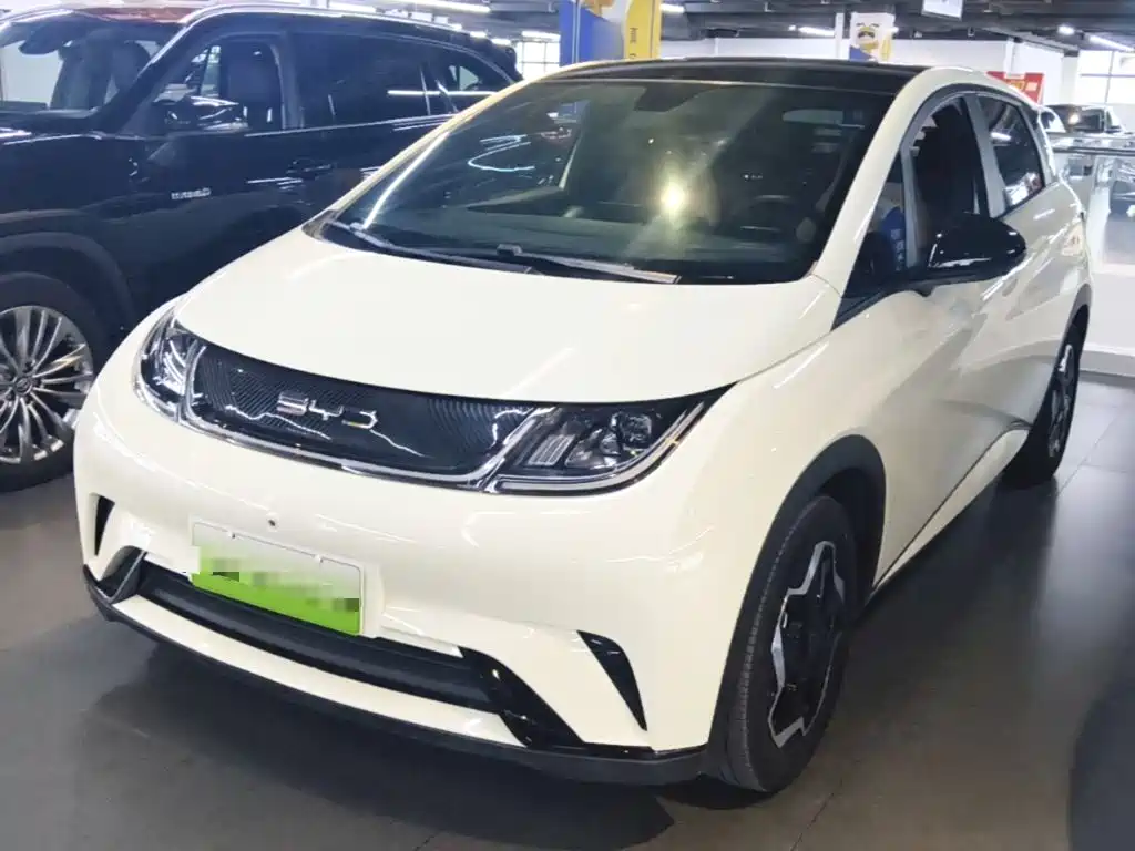 BYD Dolphin 2021 Model 405km Fashion Edition