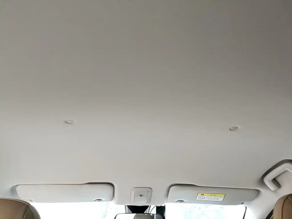 Wuling Motors Wuling Binguo PLUS 2025 2024 510km Range 5-seater