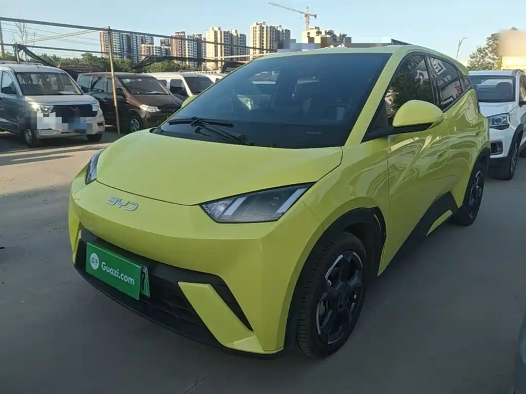 BYD Seagull 2024 Glory Edition 305km Freedom Edition