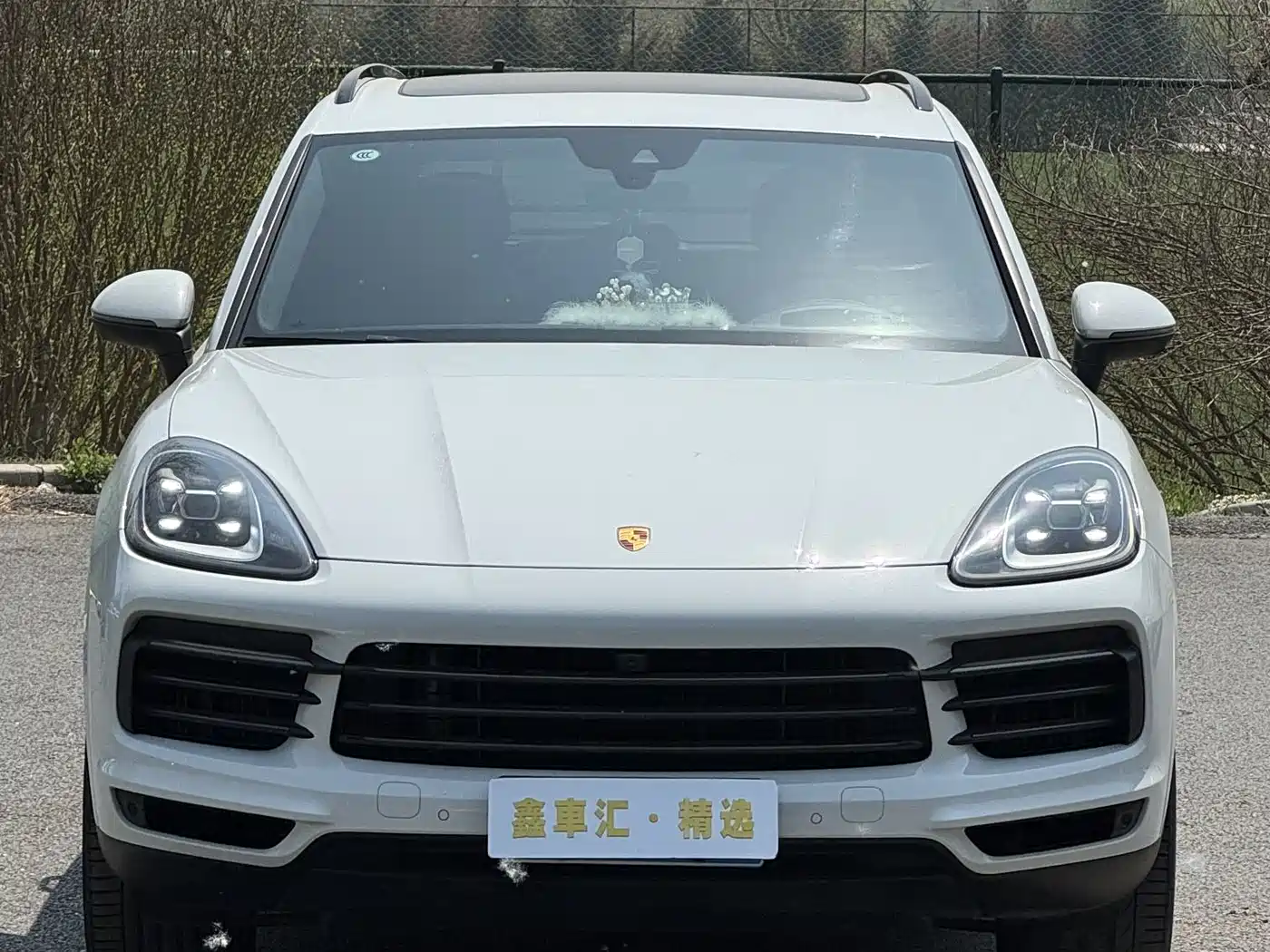 Porsche Cayenne 2023 Cayenne 3.0T Platinum Edition фото 2
