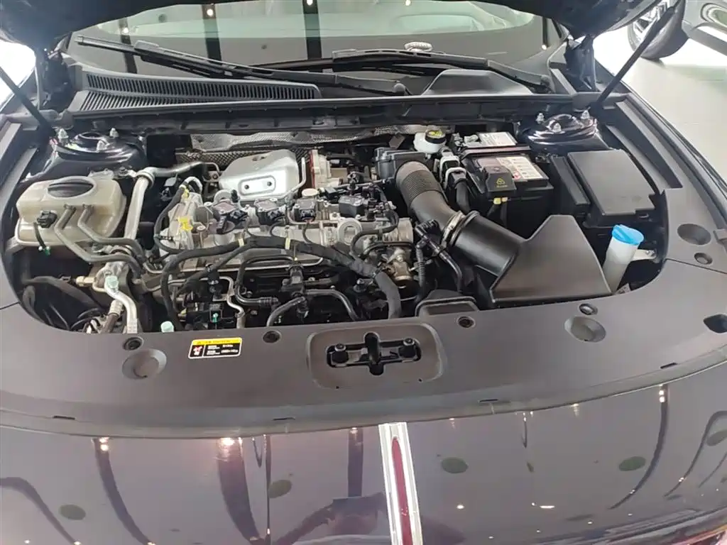 Hongqi H5 2024 2.0T Automatic Smart Connect Flag Leader Edition фото 20