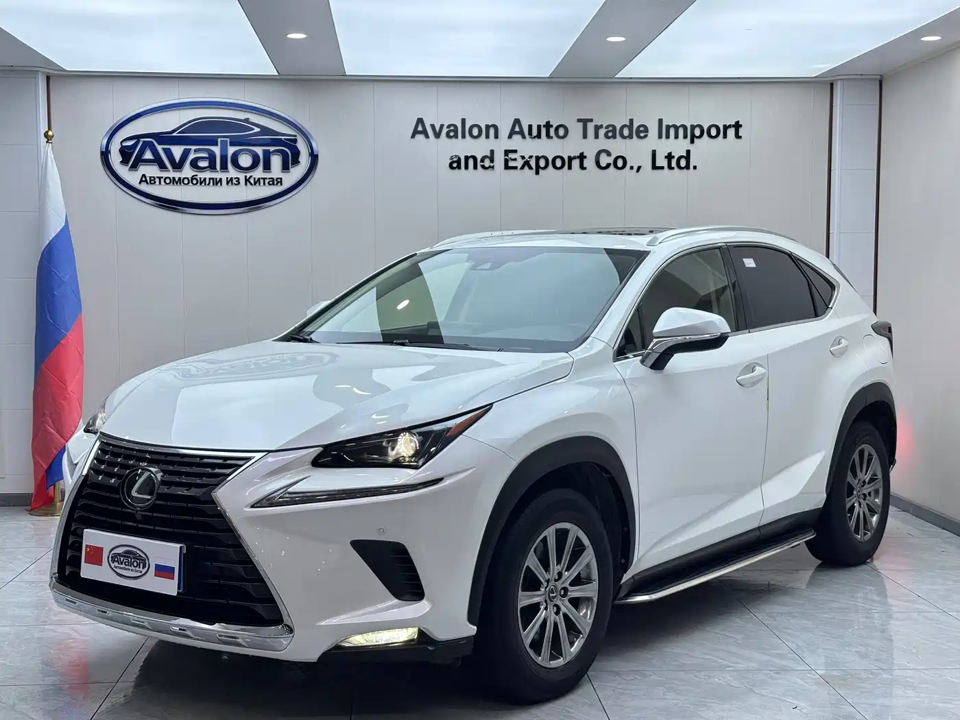 LEXUS NX