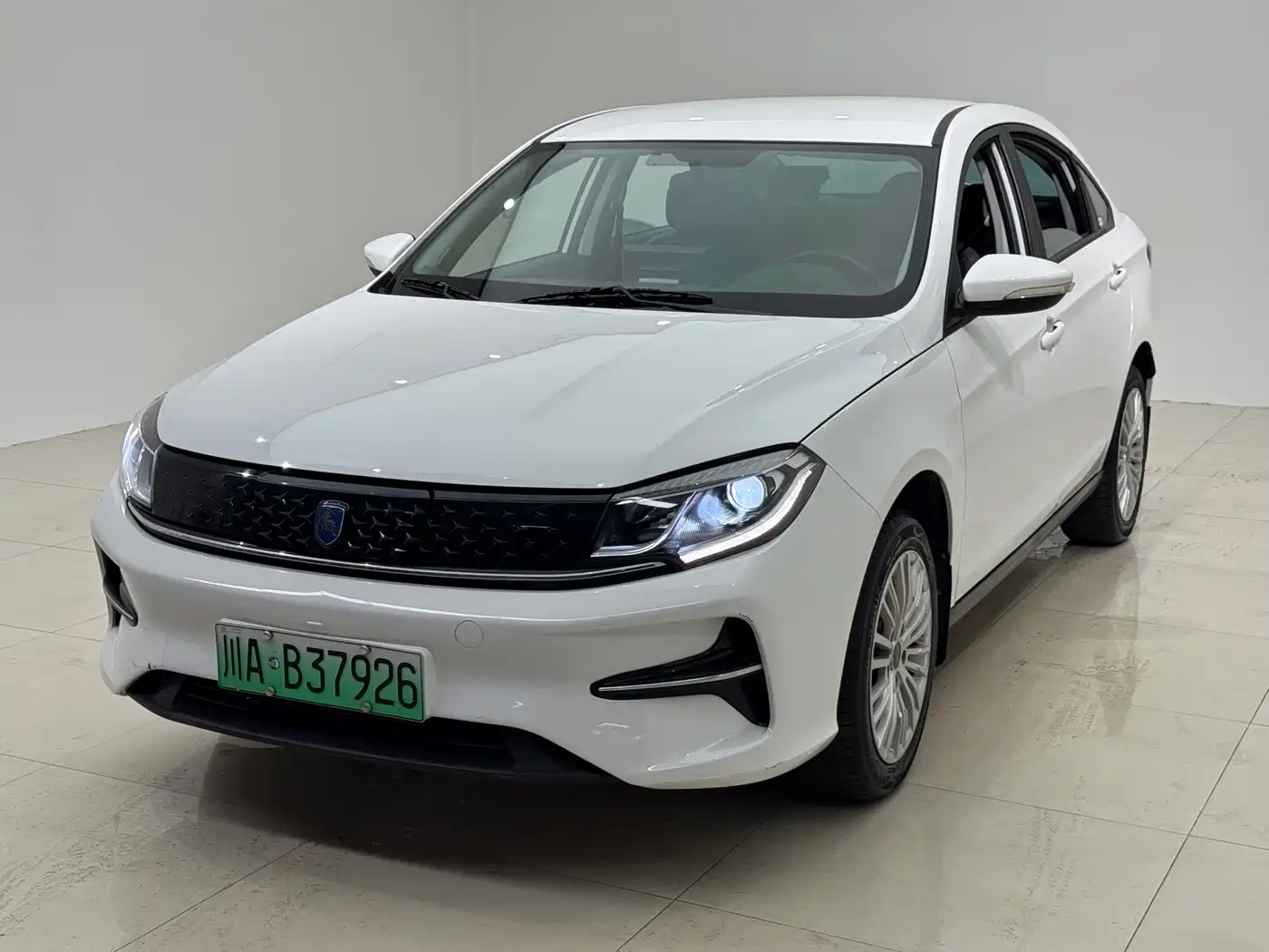 Dongfeng Fengxing Fengxing S60EV 2024 2024 Commercial Operation Model
