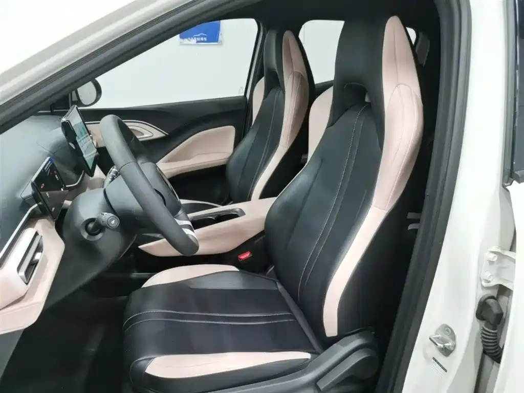 BYD Seagull 2025 305km Vitality фото 11