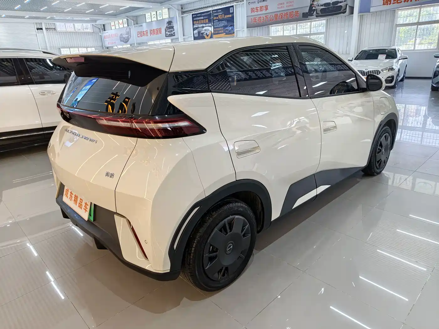 BYD Seagull 2026 2025 305km Vitality