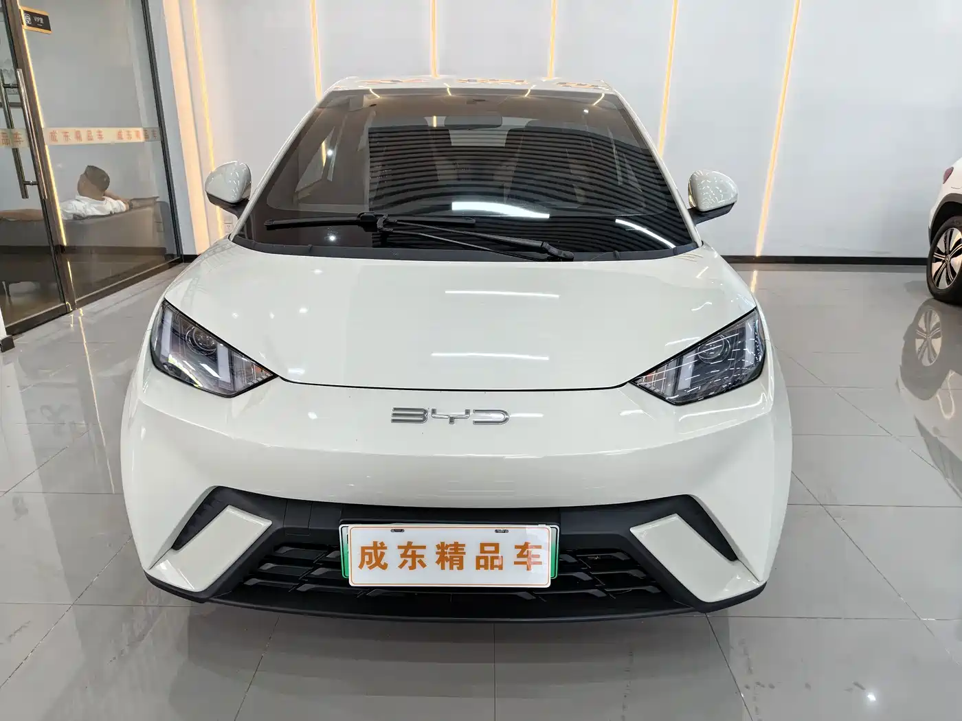 BYD Seagull 2026 2025 305km Vitality